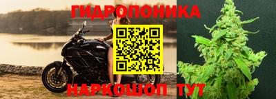 тгк Апшеронск