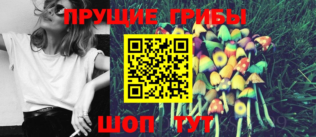 Галлюциногенные грибы ЛСД Сыктывкар