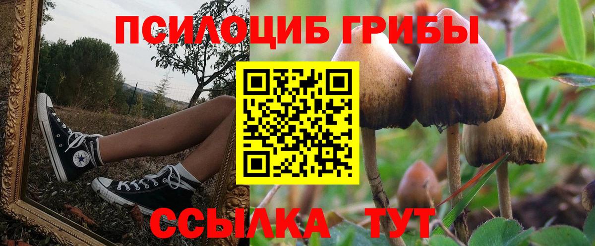 Сыктывкар  Псилоцибиновые грибы прущие грибы  Вход с VPN 