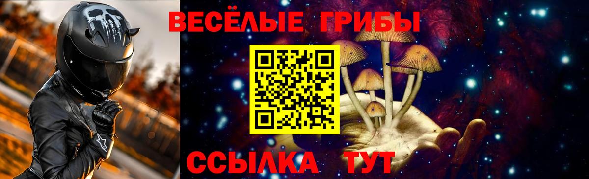 Галлюциногенные грибы Psilocybe  Псилоцибиновые грибы прущие грибы  Сыктывкар 